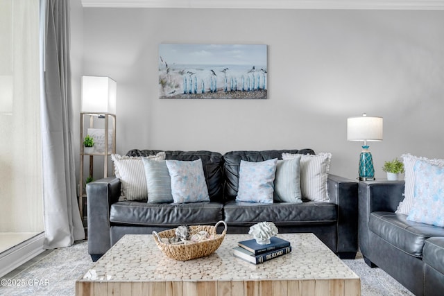 living area featuring ornamental molding