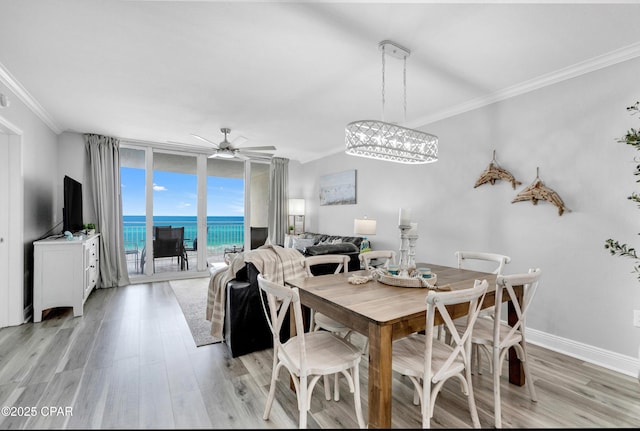 dining room with light wood finished floors, baseboards, floor to ceiling windows, and ornamental molding