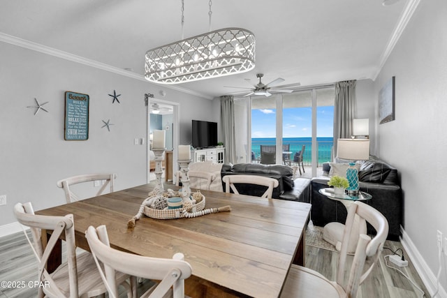 dining space featuring wood finished floors, a ceiling fan, baseboards, floor to ceiling windows, and crown molding