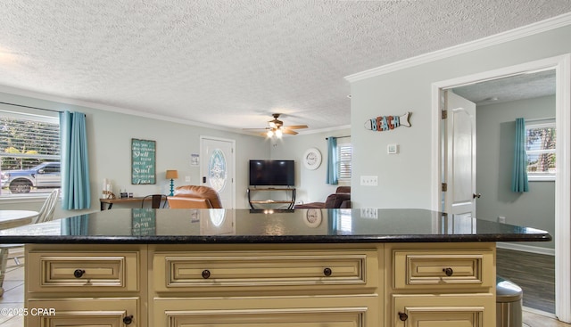 kitchen with open floor plan, cream cabinets, and plenty of natural light