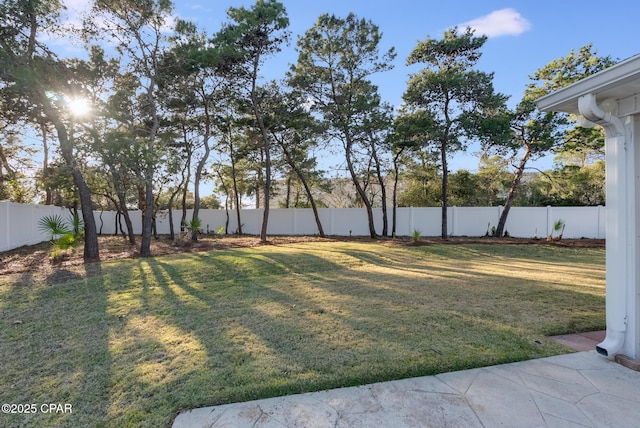 view of yard featuring a fenced backyard