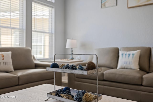 living area with plenty of natural light