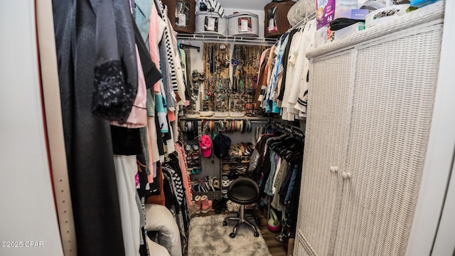 view of walk in closet