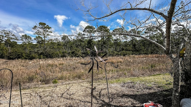 view of local wilderness