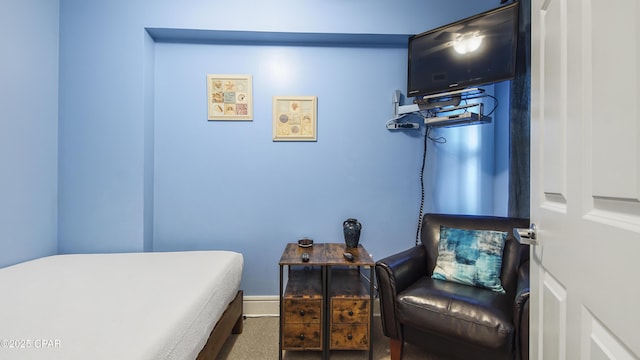 bedroom with carpet floors