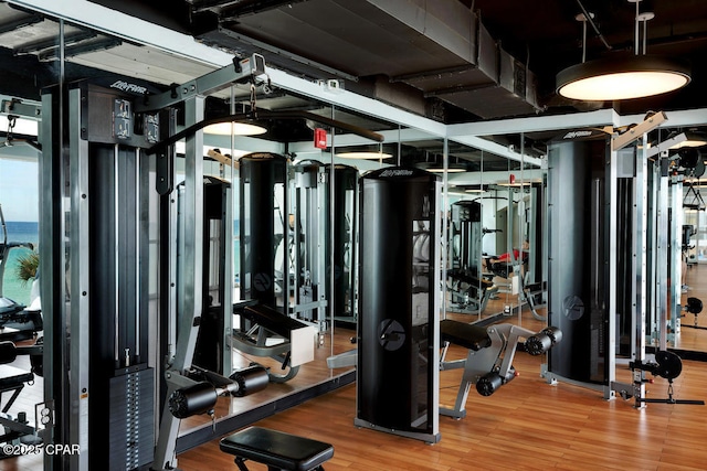 workout area featuring wood finished floors