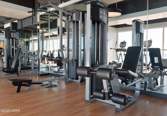 workout area featuring wood finished floors and a healthy amount of sunlight