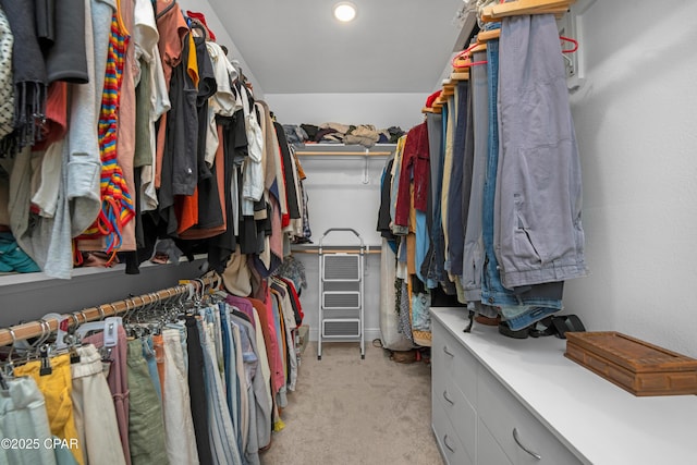 38 Cozy Cv, Freeport, FL 32439 - spacious closet with light carpet