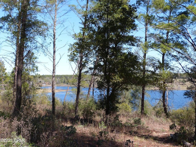 Listing photo 3 for 5052 Long Lake Ridge Dr, Chipley FL 32428