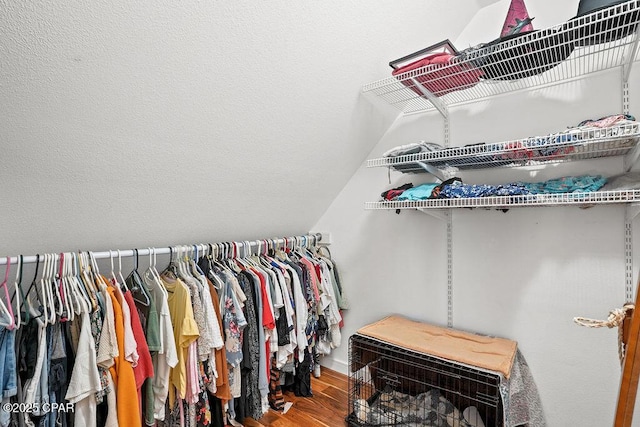 walk in closet with wood finished floors