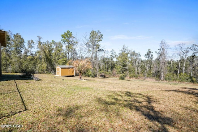 view of yard featuring an outbuilding and a storage unit