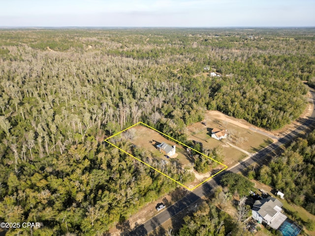 aerial view with a view of trees