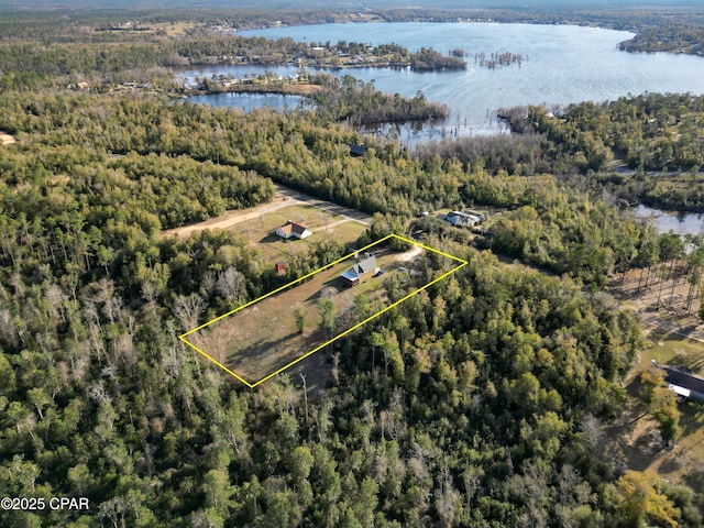 drone / aerial view featuring a forest view and a water view