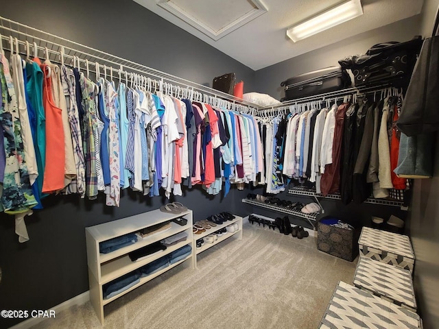 spacious closet with attic access and carpet floors