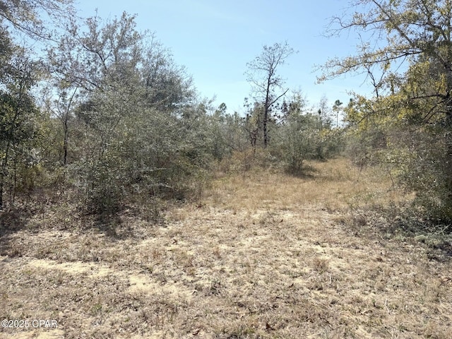 LOT21 Valiant Dr, Chipley FL, 32428 land for sale