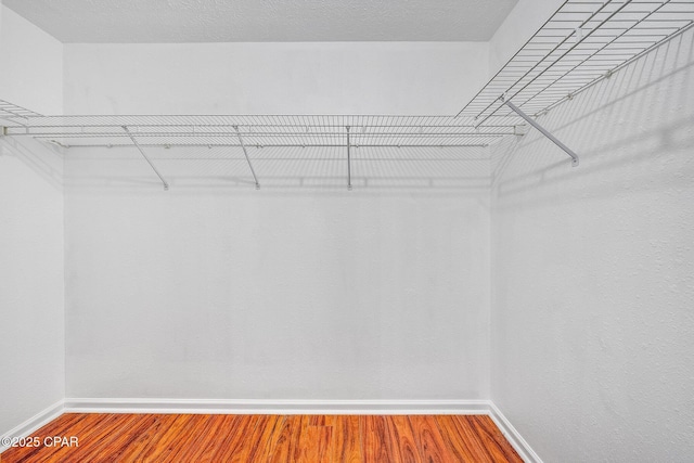 spacious closet with wood finished floors