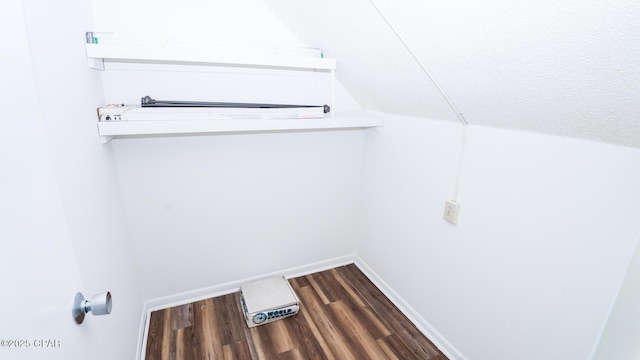 4305 Bay Point Rd Unit 459, Panama City, FL 32408 - spacious closet with vaulted ceiling and dark wood-style floors