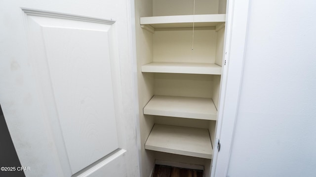 4305 Bay Point Rd Unit 459, Panama City, FL 32408 - view of closet