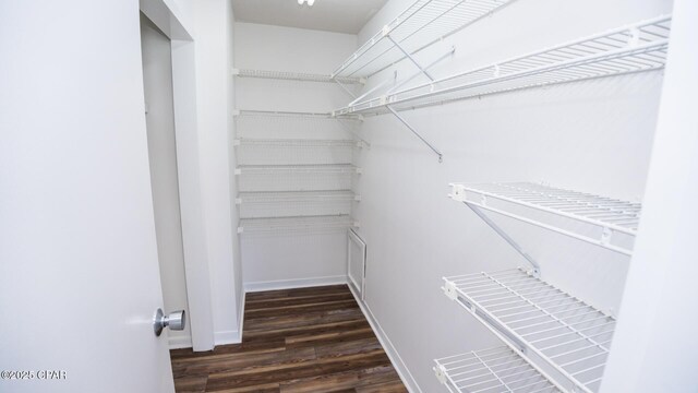4305 Bay Point Rd Unit 459, Panama City, FL 32408 - spacious closet featuring wood finished floors