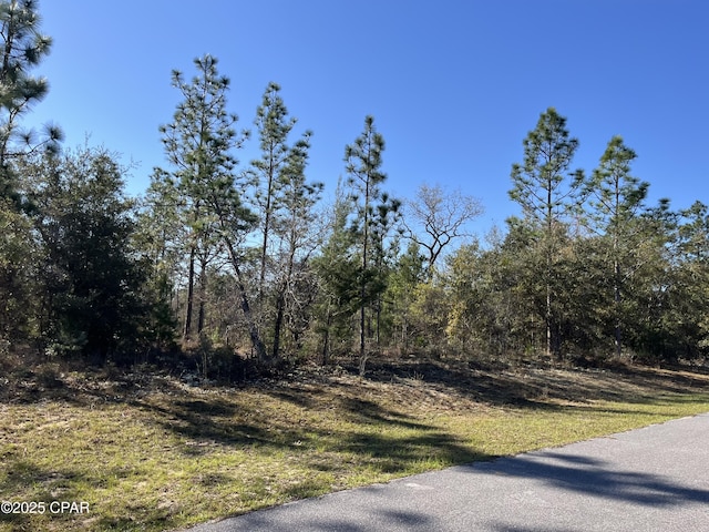 LOT17 Shelby Ct, Chipley FL, 32428 land for sale