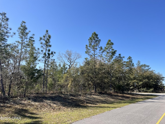 Listing photo 2 for LOT17 Shelby Ct, Chipley FL 32428