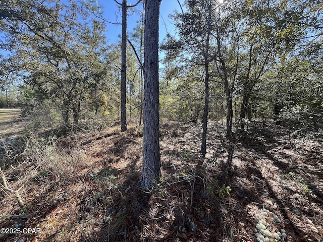 Listing photo 3 for LOT17 Shelby Ct, Chipley FL 32428