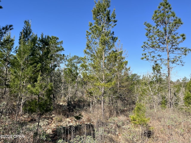 LOT18 Carey Blvd, Chipley FL, 32428 land for sale