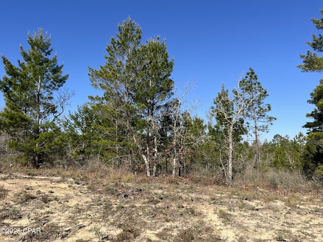 Listing photo 2 for LOT18 Carey Blvd, Chipley FL 32428