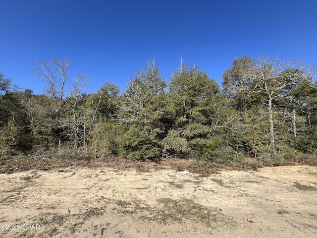 Listing photo 3 for LOT5 Viking Dr, Chipley FL 32428