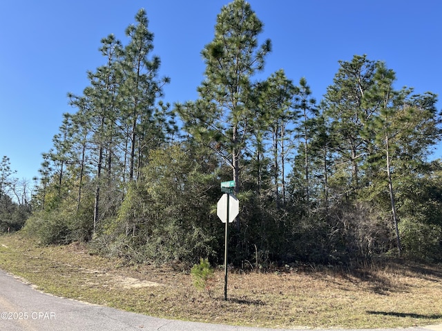 LOT7 Trellis Dr, Chipley FL, 32428 land for sale