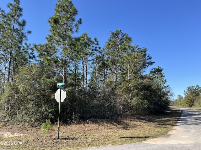 Listing photo 2 for LOT7 Trellis Dr, Chipley FL 32428