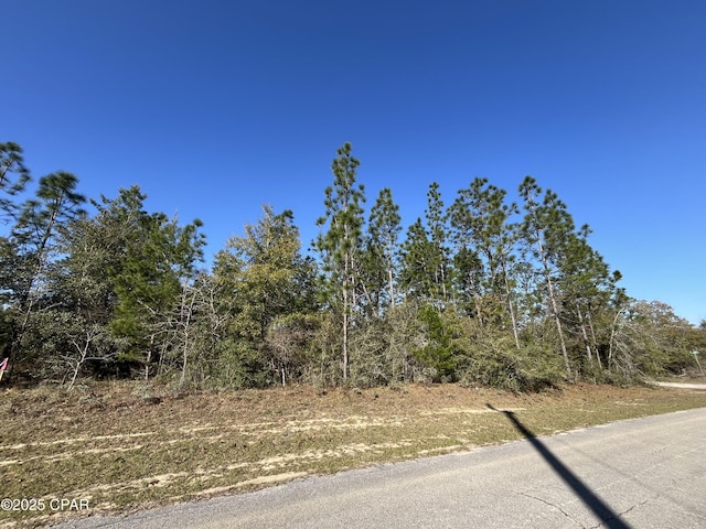 Listing photo 3 for LOT7 Trellis Dr, Chipley FL 32428