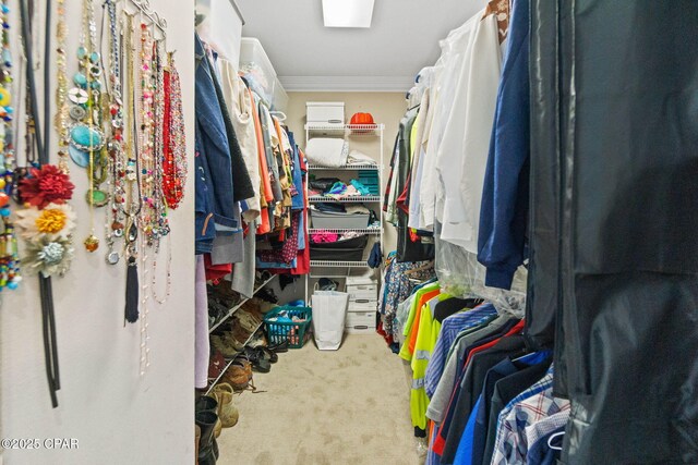 spacious closet featuring carpet flooring