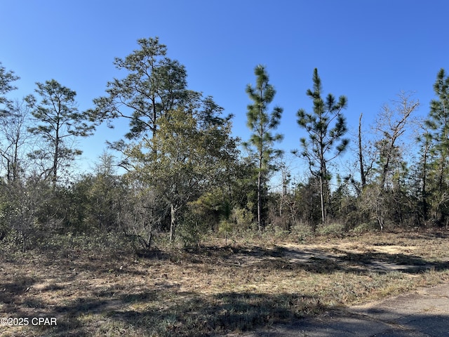 LOT33 Albion Dr, Chipley FL, 32428 land for sale