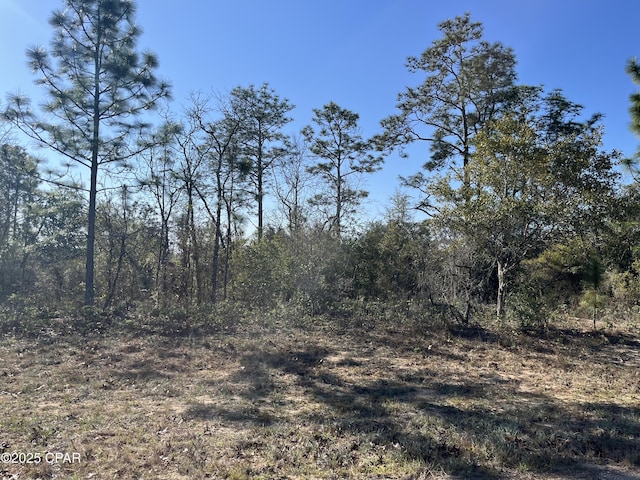 Listing photo 2 for LOT33 Albion Dr, Chipley FL 32428