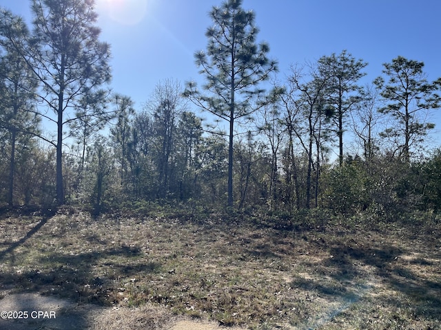 Listing photo 3 for LOT33 Albion Dr, Chipley FL 32428