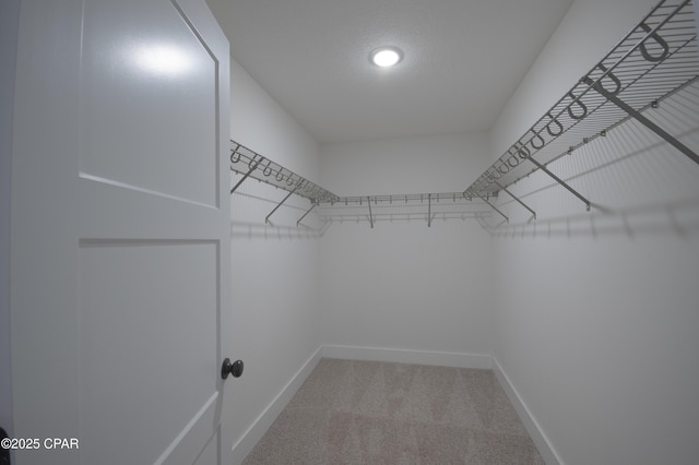 walk in closet with light carpet