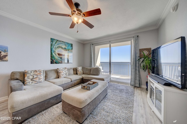 living area featuring light wood finished floors, ceiling fan, and ornamental molding