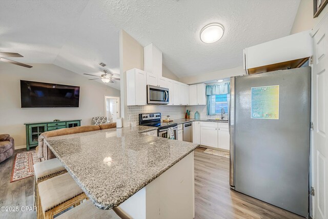 1705 Rhett Pl, Lynn Haven, FL 32444 - kitchen with stainless steel appliances, a ceiling fan, open floor plan, a peninsula, and lofted ceiling