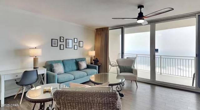 living room with a ceiling fan and wood finished floors