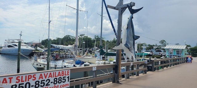 dock area with a water view