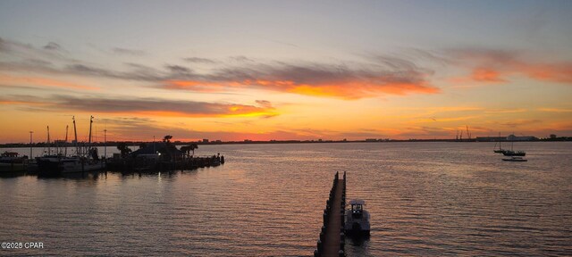 property view of water with a dock