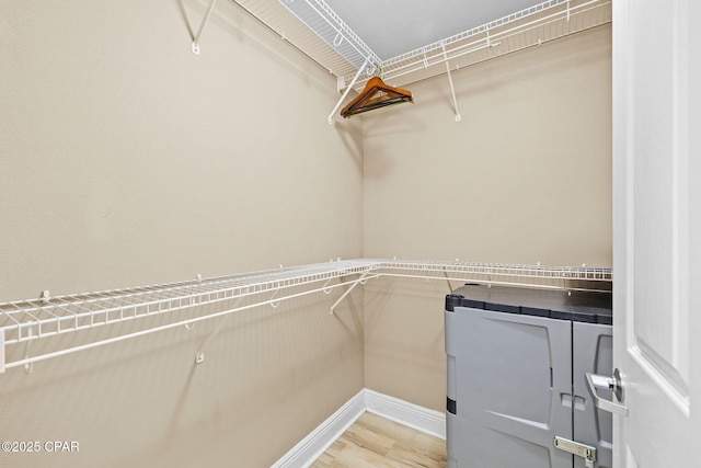 spacious closet featuring light wood-style floors