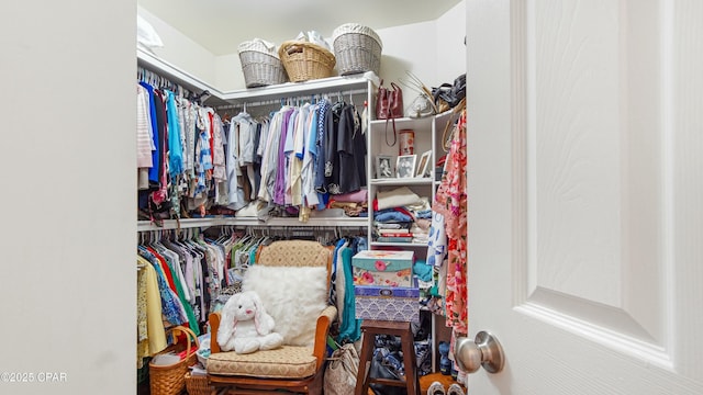 view of spacious closet