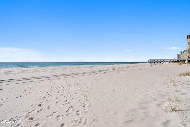 water view featuring a beach view