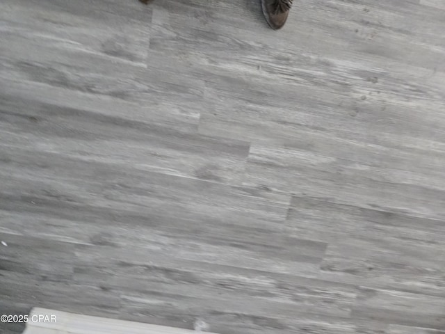 view of details