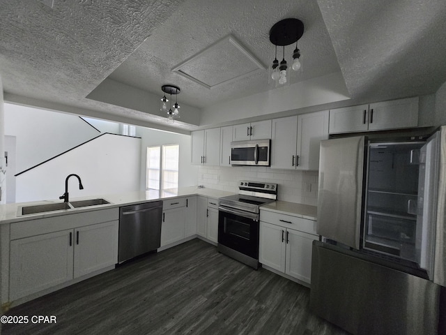 kitchen featuring a sink, a raised ceiling, appliances with stainless steel finishes, and dark wood-style floors