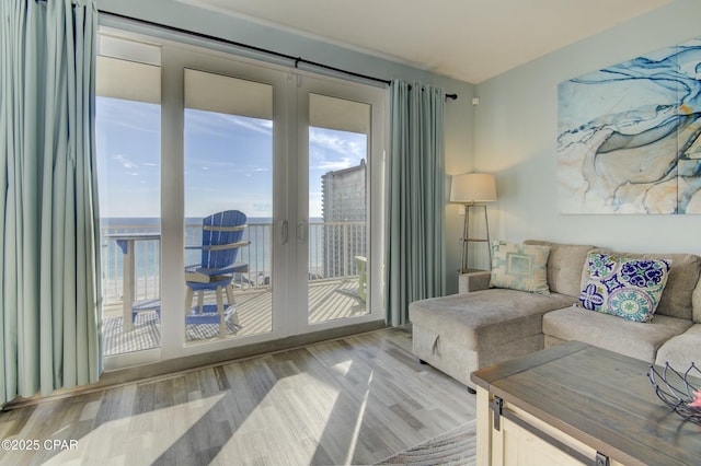 9860 S Thomas Dr Unit 1426, Panama City Beach, FL 32408 - living room featuring wood finished floors and plenty of natural light
