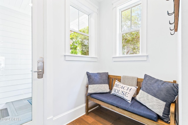 living area with wood finished floors, a healthy amount of sunlight, and baseboards