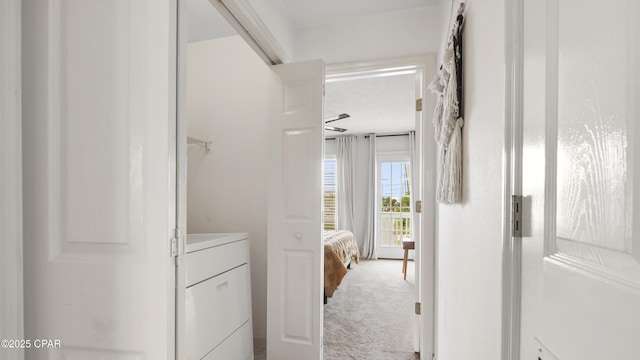 hallway featuring washer / clothes dryer and carpet